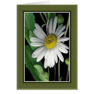 Naturens skönhet r/c17 hälsningskort