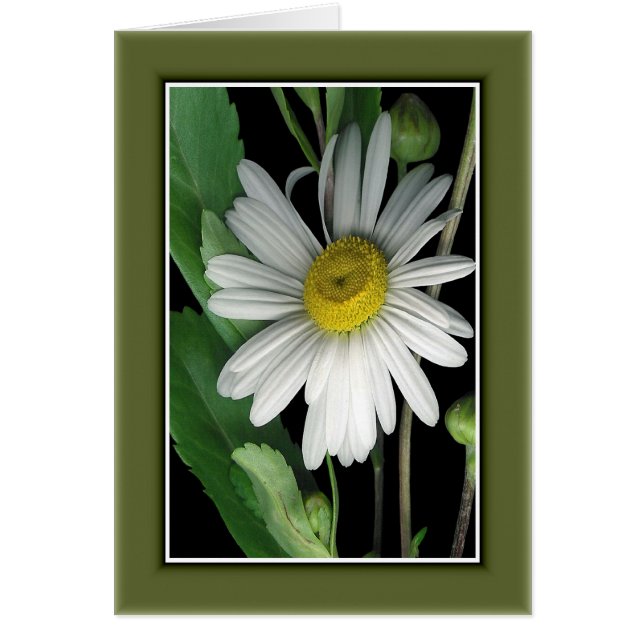 Naturens skönhet r/c17 hälsningskort (Framsidan)