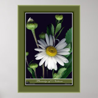 Naturens skönhet r/p12 poster