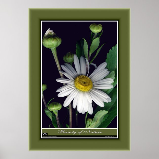 Naturens skönhet r/p12 poster (Framsidan)