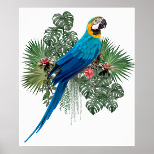Naturens stora födelse poster