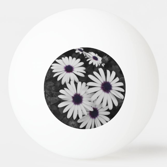 Naturens subtila kontrast pingisboll (Framsidan)