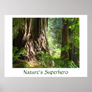 Naturens superhjältekonst skriver ut Big Redwood T Poster