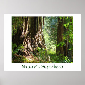 Naturens superhjältekonst skriver ut Big Redwood T Poster