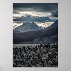 Naturens symfoni: Porträtt i Ushuaias Vild Poster