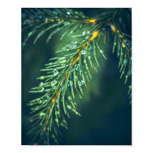 Naturens tekoni: Att fånga Lövs skönhet