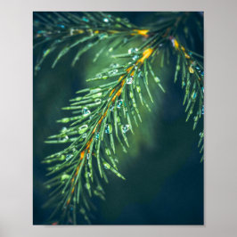 Naturens tekoni: Att fånga Lövs skönhet Poster