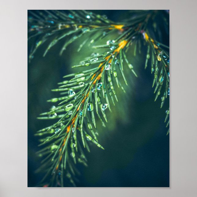 Naturens tekoni: Att fånga Lövs skönhet Poster (Framsidan)