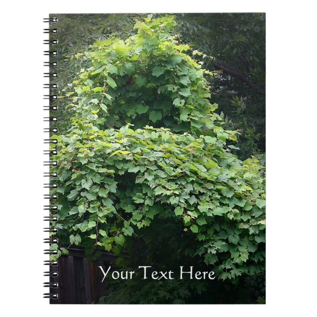 Naturens Throne Anteckningsbok (Framsidan)