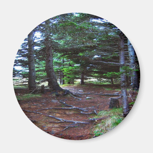 Naturens trappmagnet magnet (Framsidan)