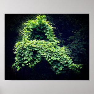 Naturens trötthetsviner i Vilden Poster