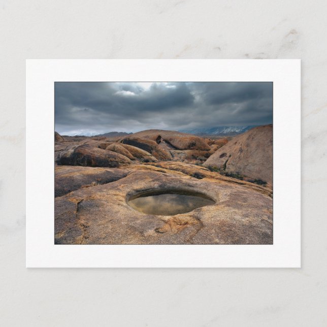 "Naturens väktare" Vykort (Framsida)