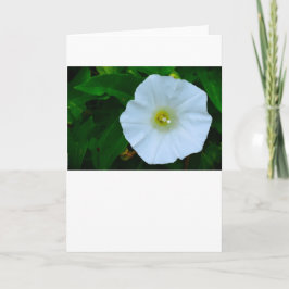 Naturens välsignelse, kort