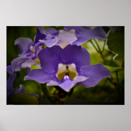 Naturens välsignelse poster