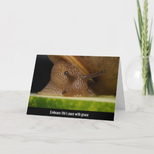 Naturens varma embrace - närmare Snigel Tack Kort