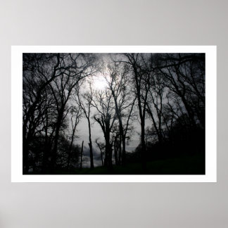 Naturens Veins Poster