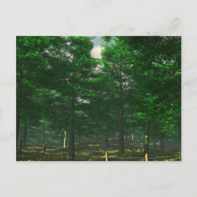 Naturens vykort för klarhet (Framsida)