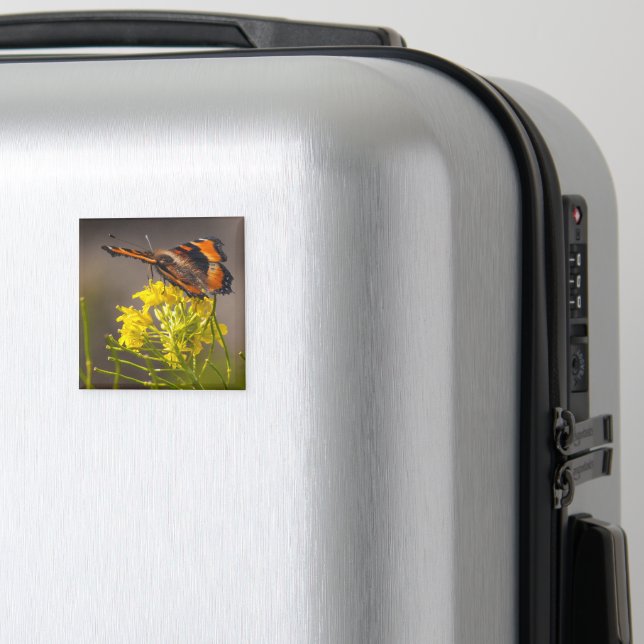 Natures Beauty Milberts Tortoiseshell Butterfly Magnet (In Situ (Luggage))