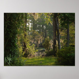 Natures Beauty Poster