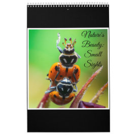 Nature's beauty: Small Sights Kalender