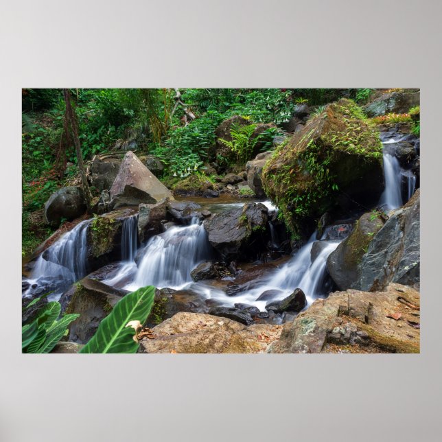 Nature's Bliss Poster (Framsidan)