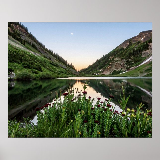 Natures Bouquet // Blommigt Förgrund Poster (Framsidan)