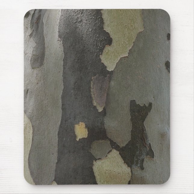 Nature's Camouflage - Sycamore Bark mousserande Musmatta (Framsidan)