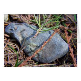 Natures Inslag Hälsningskort