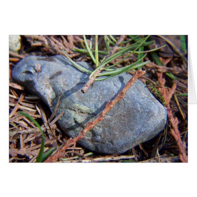 Natures Inslag Hälsningskort (Framsidan Horizontal)