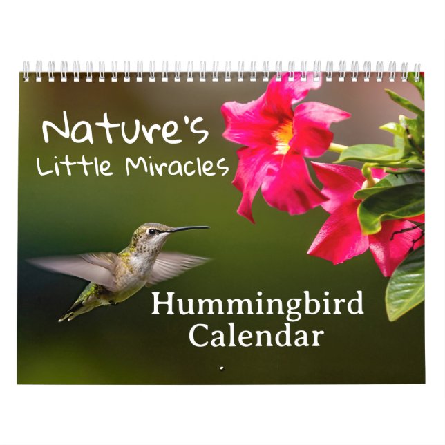 Nature's Little Miracles Hummingbirds Kalender (Omslag)