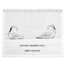 Nature's Perspectives - 2026 Wall Calendar