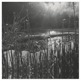 Natures Sunrise Fabric Tyg