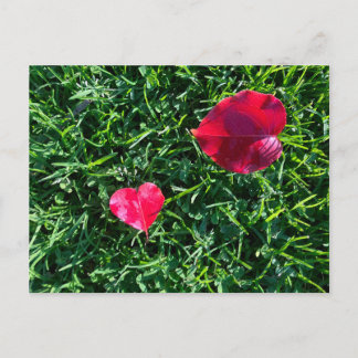 Natures valentine: heart shaped red leaf helg vykort