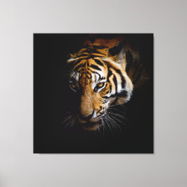 Nature's Wild Animals - Tiger Canvas