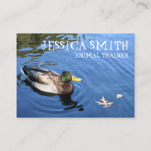 Naturfoto av arten Mallard Anka Bird Blue Vatten Visitkort