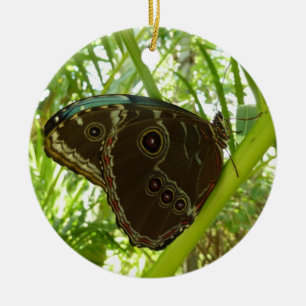 Naturfoto av blå morfo-fjäril julgransprydnad keramik