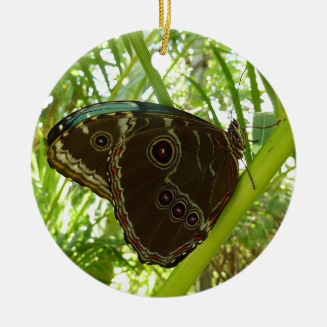 Naturfoto av blå morfo-fjäril julgransprydnad keramik (Framsidan)