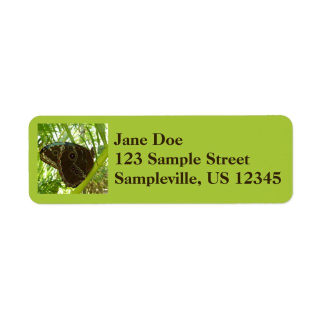 Naturfoto av blå morfo-fjäril returadress etikett (Framsidan)