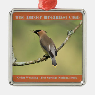 Naturfoto Cedar Waxwing Birder Julgransprydnad Metall