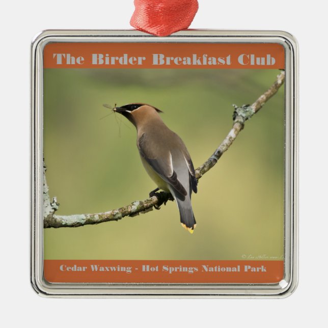 Naturfoto Cedar Waxwing Birder Julgransprydnad Metall (Framsidan)