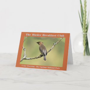 Naturfoto Cedar Waxwing Birder Kort