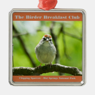 Naturfoto Chipping Sparrow Birder Julgransprydnad Metall