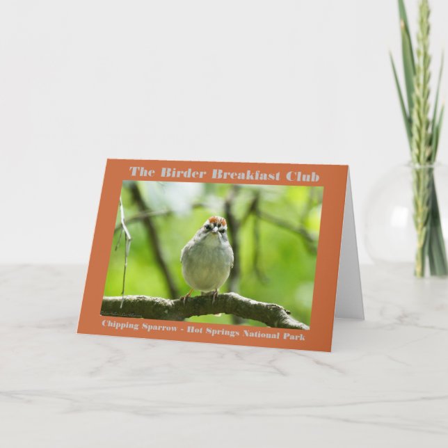 Naturfoto Chipping Sparrow Birder Kort (Framsida)