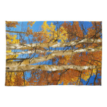 Naturfoto för fallande Aspen Färg © Sandy Long