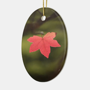 Naturfoto för Red Autumn Maple Löv Julgransprydnad Keramik