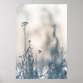 Naturfoto för vinterväxter poster