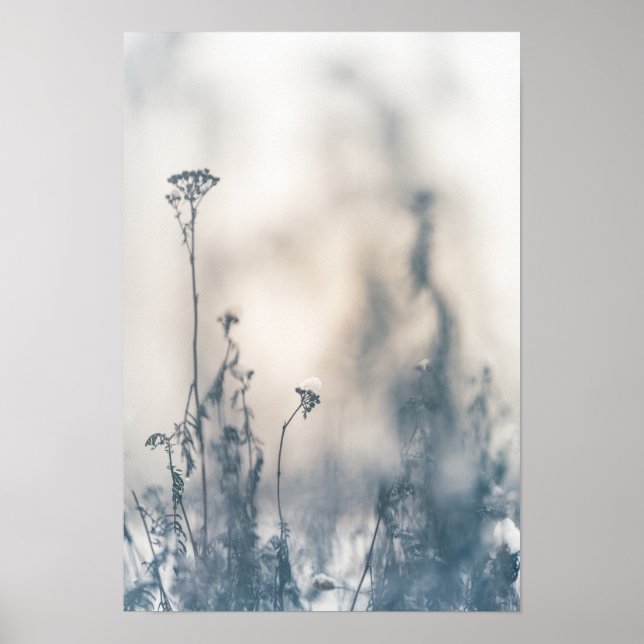 Naturfoto för vinterväxter poster (Framsidan)