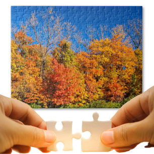 Naturfoto från Scenia Fall Träd och Blå himmel Pussel