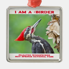 Naturfoto Pileated Woodpecker Birder Julgransprydnad Metall