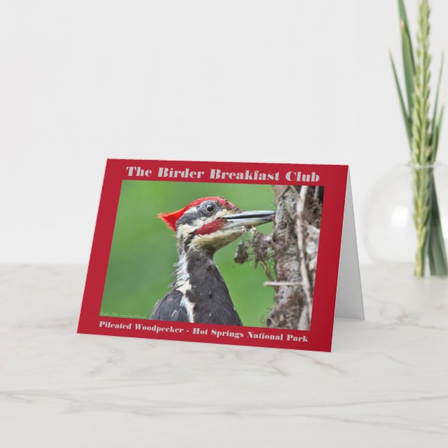 Naturfoto Pileated Woodpecker Birder Kort (Framsida)